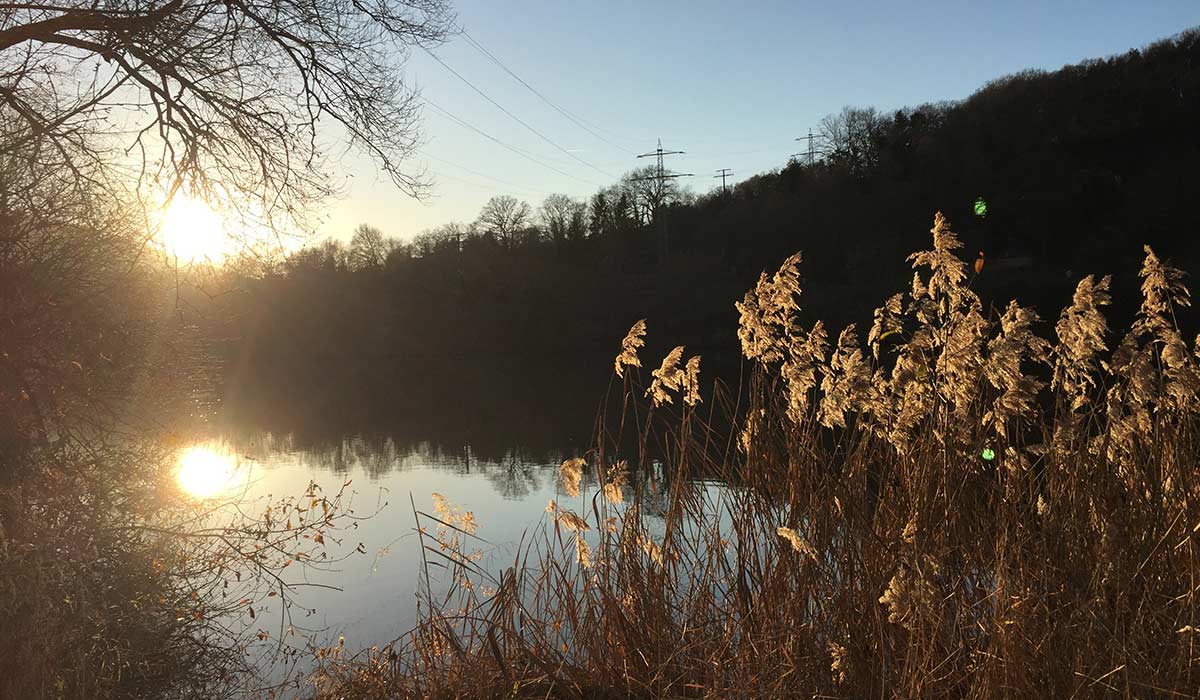 Bürgstadt Blick auf den Main