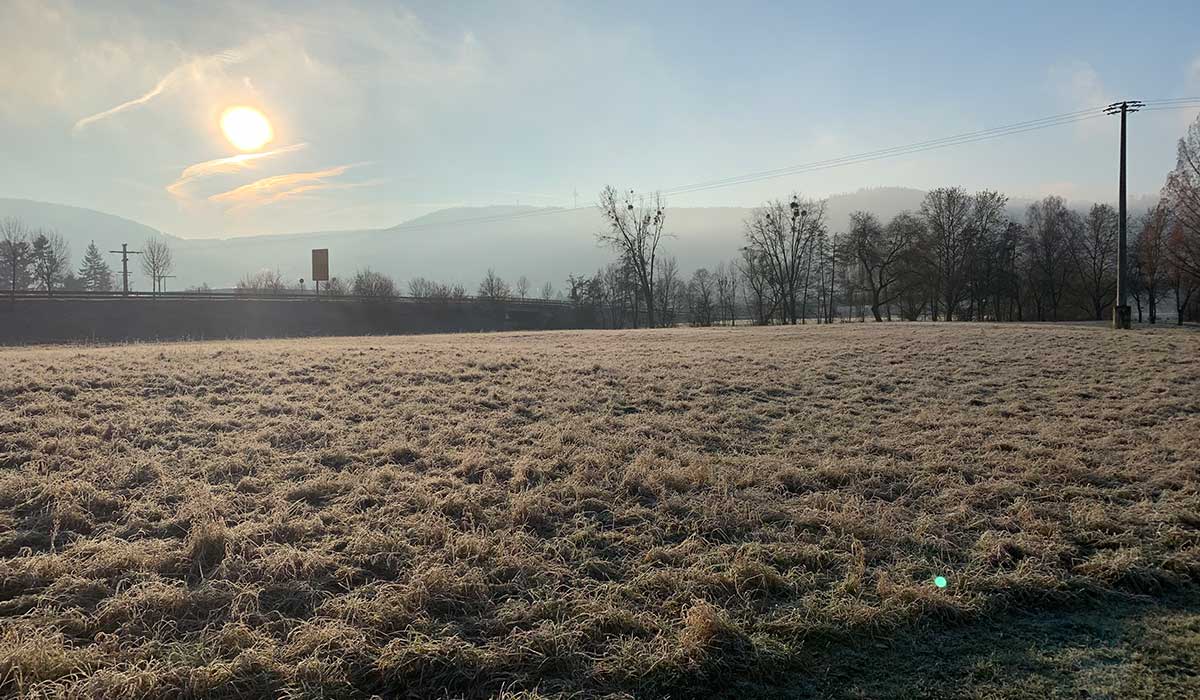 Bürgstadt Wiese im Winter