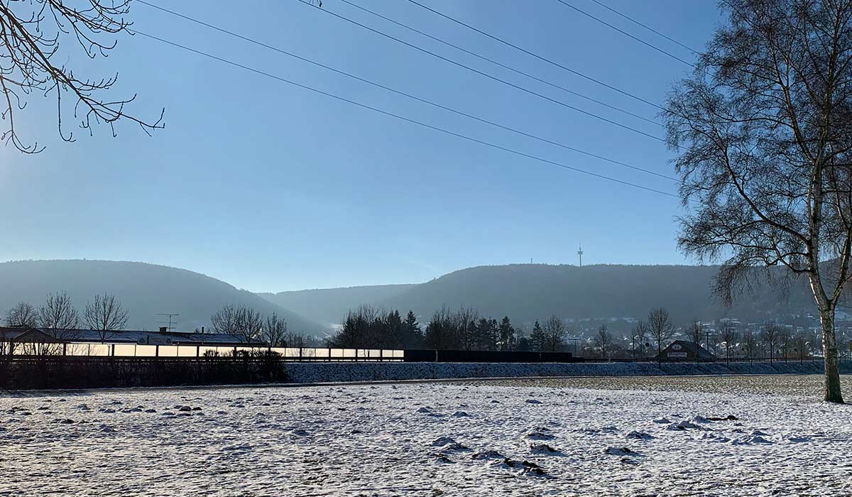 Bürgstadt Wiese im Winter