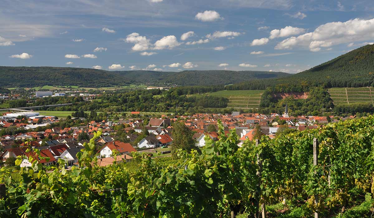 Bürgstädter Weinberge